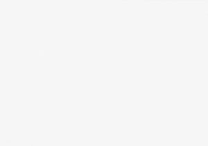 Monarch Specialties Bar Stool, Set Of 2, Bar Height, Saddle Seat, White Wood, Contemporary, Modern White Solid Wood,Mdf I 1534