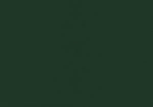 Monarch Specialties Bed, Twin Size, Upholstered, Bedroom, Frame Only, Youth, Teen, Juvenile, Green Velvet, Transitional Green Foam,Lvl,Mdf,Plastic,Solid Wood,Velvet I 5917t