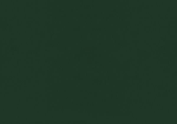 Monarch Specialties Bed, Twin Size, Upholstered, Bedroom, Frame Only, Youth, Teen, Juvenile, Green Velvet, Transitional Green Foam,Lvl,Mdf,Plastic,Solid Wood,Velvet I 5917t