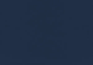 Monarch Specialties Bed, Twin Size, Upholstered, Bedroom, Frame Only, Youth, Teen, Juvenile, Blue Velvet, Transitional Navy Blue Foam,Lvl,Mdf,Plastic,Solid Wood,Velvet I 5918t