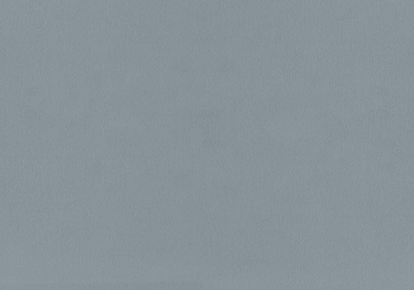 Monarch Specialties Bed, Twin Size, Upholstered, Bedroom, Frame Only, Youth, Teen, Juvenile, Light Blue Velvet, Transitional Steel Blue Foam,Lvl,Mdf,Plastic,Solid Wood,Velvet I 5919t