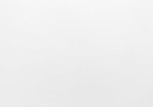 Monarch Specialties Computer Desk, Home Office, Standing, Adjustable, 48"L, Work, Laptop, White Laminate, Grey Metal, Contemporary, Modern White Particle Board,Metal I 7683