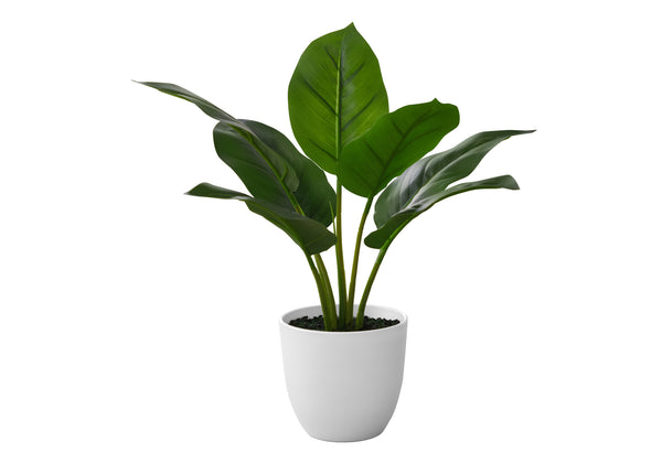 Monarch Specialties Artificial Plant, 17" Tall, Aureum, Indoor, Faux, Fake, Table, Greenery, Potted, Real Touch, Decorative, Green Leaves, White Pot Green,White, White Plastic,Cement,Foam,Metal I 9502