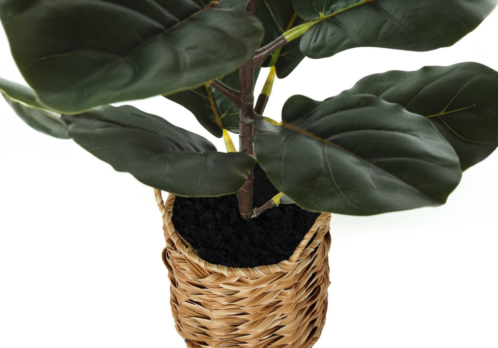 Monarch Specialties Artificial Plant, 28" Tall, Fiddle Tree, Indoor, Faux, Fake, Floor, Greenery, Potted, Real Touch, Decorative, Green Leaves, Beige Woven Basket Green,Natural, Natural Plastic,Cement,Foam,Metal I 9505