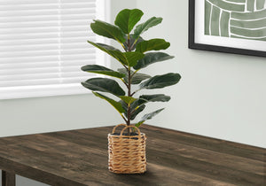 Monarch Specialties Artificial Plant, 28" Tall, Fiddle Tree, Indoor, Faux, Fake, Floor, Greenery, Potted, Real Touch, Decorative, Green Leaves, Beige Woven Basket Green,Natural, Natural Plastic,Cement,Foam,Metal I 9505