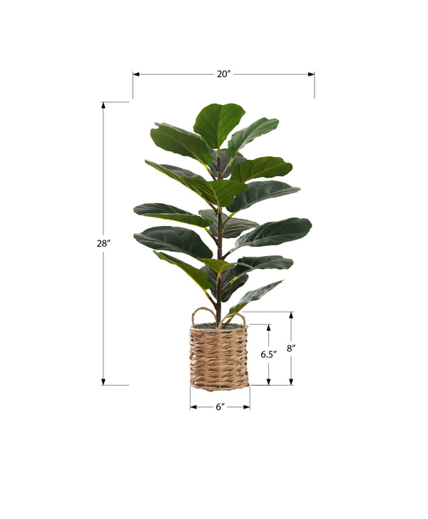 Monarch Specialties Artificial Plant, 28" Tall, Fiddle Tree, Indoor, Faux, Fake, Floor, Greenery, Potted, Real Touch, Decorative, Green Leaves, Beige Woven Basket Green,Natural, Natural Plastic,Cement,Foam,Metal I 9505