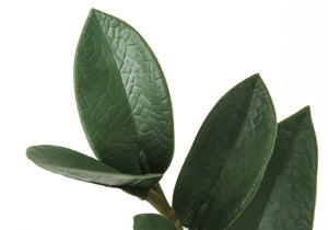 Monarch Specialties Artificial Plant, 29" Tall, Zz Tree, Indoor, Faux, Fake, Floor, Greenery, Potted, Real Touch, Decorative, Green Leaves, Black Pot Green,Black, Black Plastic,Cement,Foam,Metal I 9506