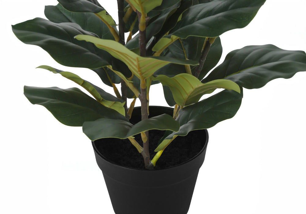 Monarch Specialties Artificial Plant, 32" Tall, Fiddle Tree, Indoor, Faux, Fake, Floor, Greenery, Potted, Real Touch, Decorative, Green Leaves, Black Pot Green,Black, Black Plastic,Cement,Foam,Metal I 9511