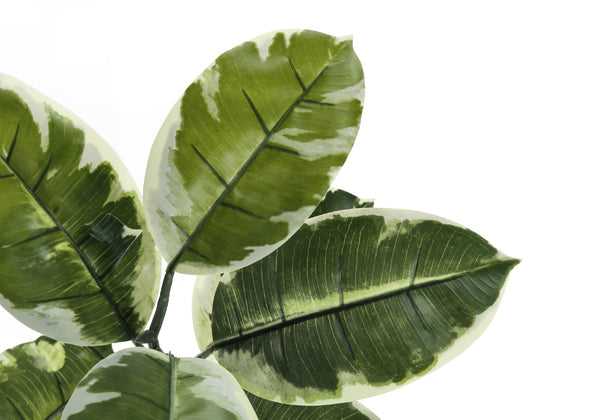 Monarch Specialties Artificial Plant, 52" Tall, Rubber Tree, Indoor, Faux, Fake, Floor, Greenery, Potted, Real Touch, Decorative, Green Leaves, Black Pot Green,Black, Black Plastic,Cement,Foam,Metal I 9513