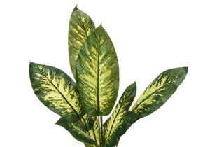 Monarch Specialties Artificial Plant, 47" Tall, Evergreen Tree, Indoor, Faux, Fake, Floor, Greenery, Potted, Real Touch, Decorative, Green Leaves, Black Pot Green,Black, Black Plastic,Cement,Metal,Polypropylene,Pvc I 9535