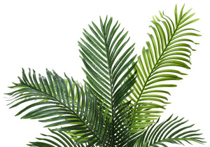 Monarch Specialties Artificial Plant, 47" Tall, Palm Tree, Indoor, Faux, Fake, Floor, Greenery, Potted, Real Touch, Decorative, Green Leaves, Black Pot Green,Black, Black Plastic,Cement,Metal,Polypropylene I 9537