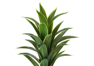 Monarch Specialties Artificial Plant, 47" Tall, Dracaena Tree, Indoor, Faux, Fake, Floor, Greenery, Potted, Real Touch, Decorative, Green Leaves, Black Pot Green,Black, Black Plastic,Cement,Metal,Polypropylene I 9542