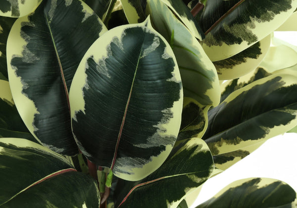 Monarch Specialties Artificial Plant, 47" Tall, Oak Tree, Indoor, Faux, Fake, Floor, Greenery, Potted, Real Touch, Decorative, Green Leaves, Black Pot Green,Black, Black Plastic,Cement,Metal,Polypropylene I 9544