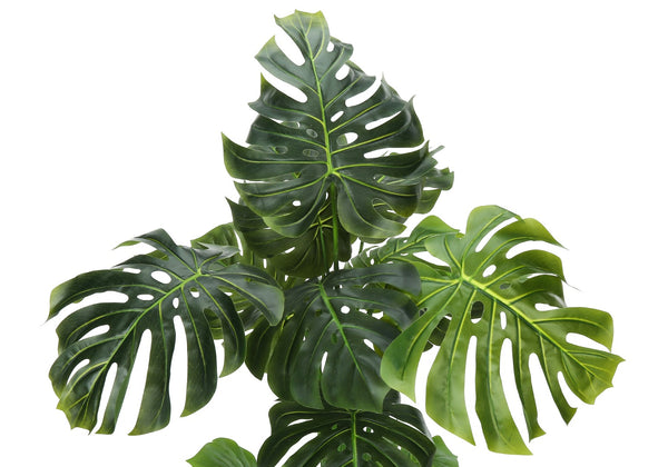 Monarch Specialties Artificial Plant, 55" Tall, Monstera Tree, Indoor, Faux, Fake, Floor, Greenery, Potted, Real Touch, Decorative, Green Leaves, Black Pot Green,Black, Black Plastic,Cement,Metal,Polypropylene I 9548