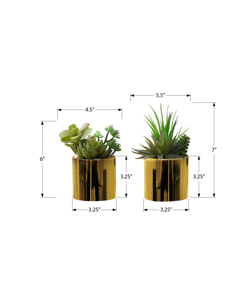 Monarch Specialties Artificial Plant, 7" Tall, Succulent, Indoor, Faux, Fake, Table, Greenery, Potted, Set Of 2, Decorative, Green Plants, Glossy Gold Pots Green,Gold, Gold Polyethylene,Ceramic,Foam,Metal I 9553
