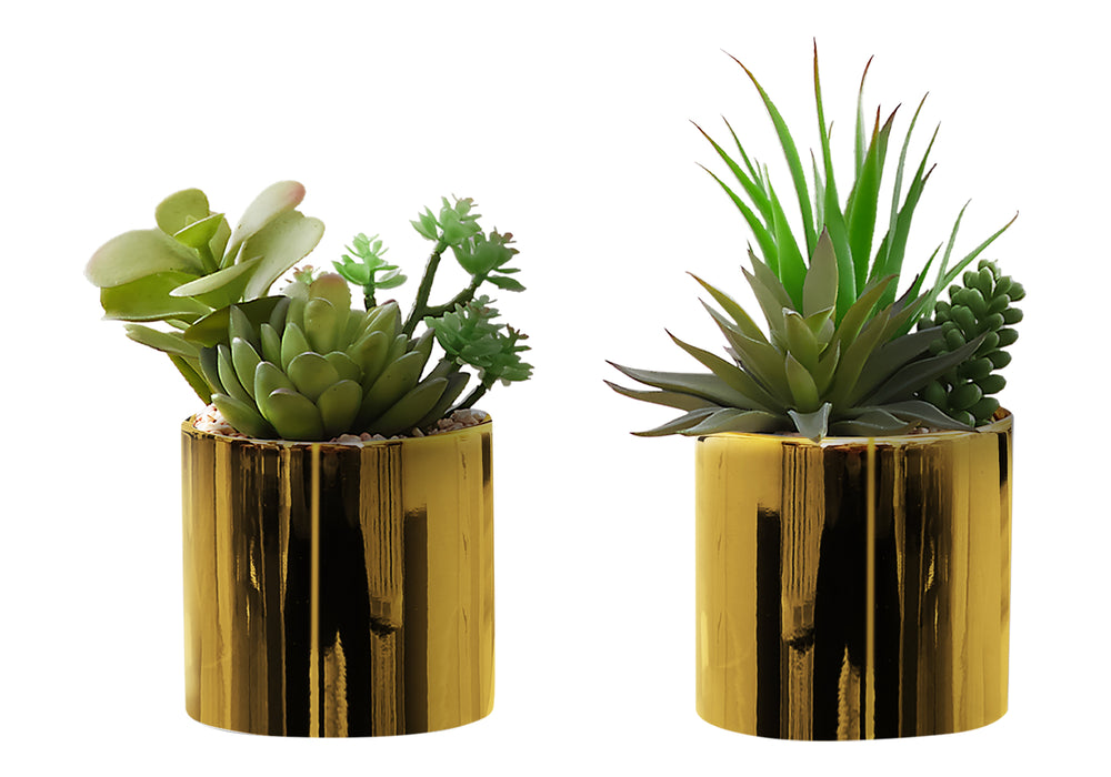 Monarch Specialties Artificial Plant, 7" Tall, Succulent, Indoor, Faux, Fake, Table, Greenery, Potted, Set Of 2, Decorative, Green Plants, Glossy Gold Pots Green,Gold, Gold Polyethylene,Ceramic,Foam,Metal I 9553
