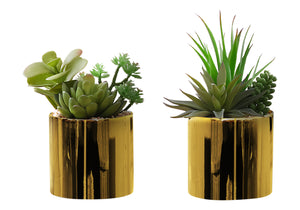 Monarch Specialties Artificial Plant, 7" Tall, Succulent, Indoor, Faux, Fake, Table, Greenery, Potted, Set Of 2, Decorative, Green Plants, Glossy Gold Pots Green,Gold, Gold Polyethylene,Ceramic,Foam,Metal I 9553