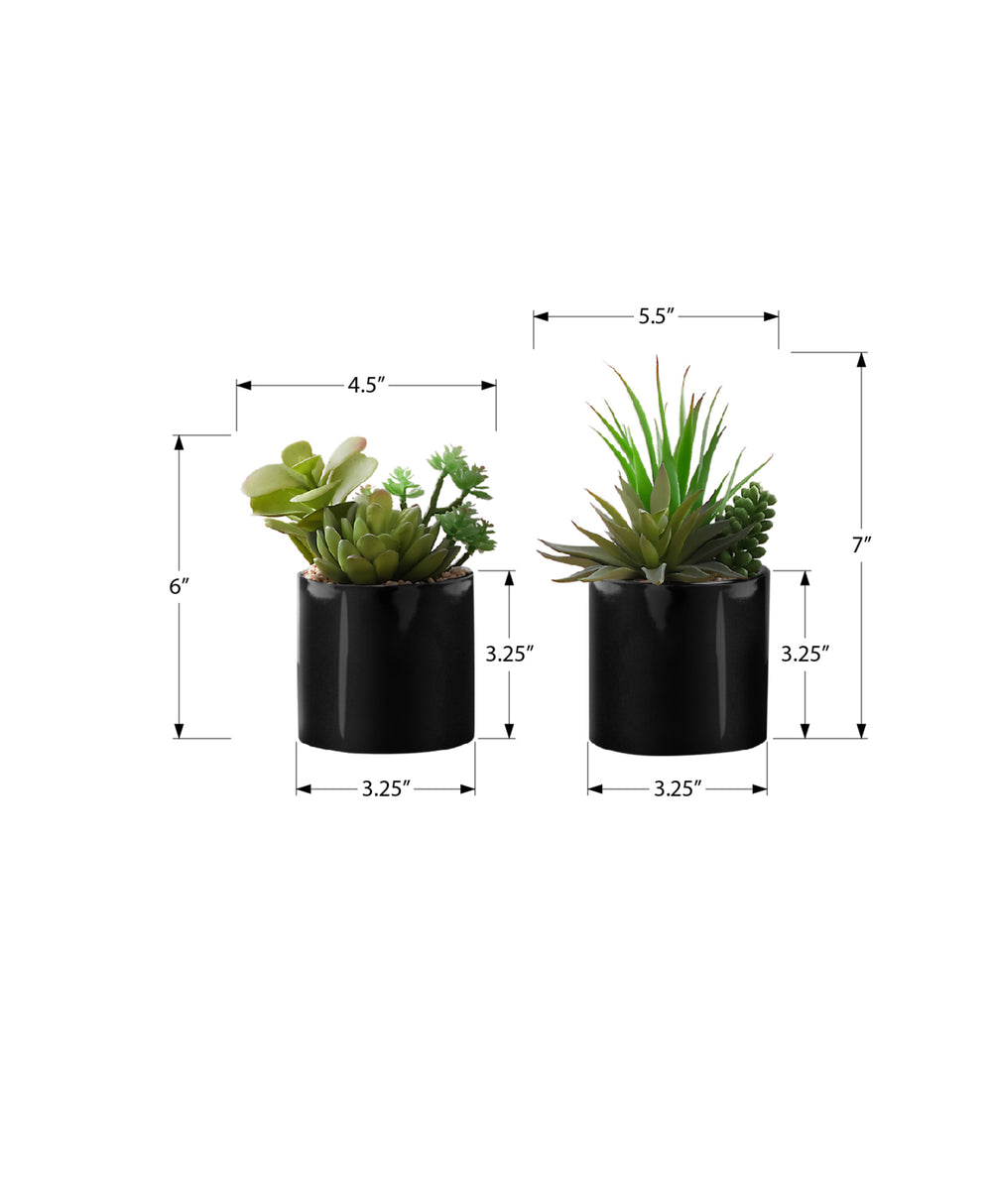 Monarch Specialties Artificial Plant, 7" Tall, Succulent, Indoor, Faux, Fake, Table, Greenery, Potted, Set Of 2, Decorative, Green Plants, Glossy Black Pots Green,Black, Black Polyethylene,Ceramic,Foam,Metal I 9554