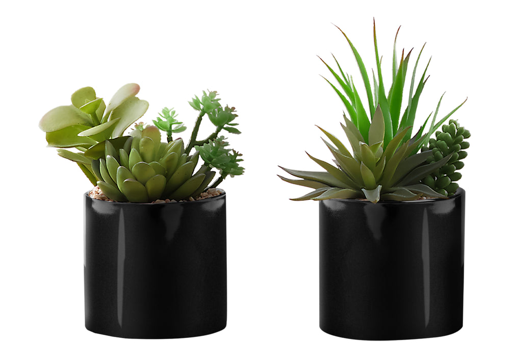 Monarch Specialties Artificial Plant, 7" Tall, Succulent, Indoor, Faux, Fake, Table, Greenery, Potted, Set Of 2, Decorative, Green Plants, Glossy Black Pots Green,Black, Black Polyethylene,Ceramic,Foam,Metal I 9554
