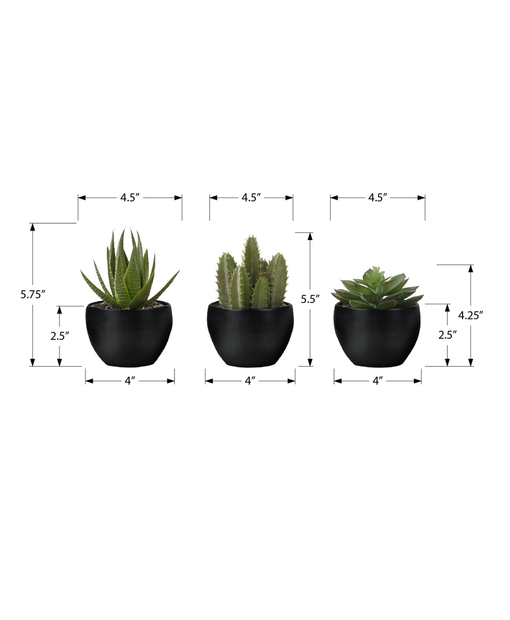 Monarch Specialties Artificial Plant, 6" Tall, Succulent, Indoor, Faux, Fake, Table, Greenery, Potted, Set Of 3, Decorative, Green Plants, Black Pots Green,Black, Black Polyethylene,Foam,Metal I 9556