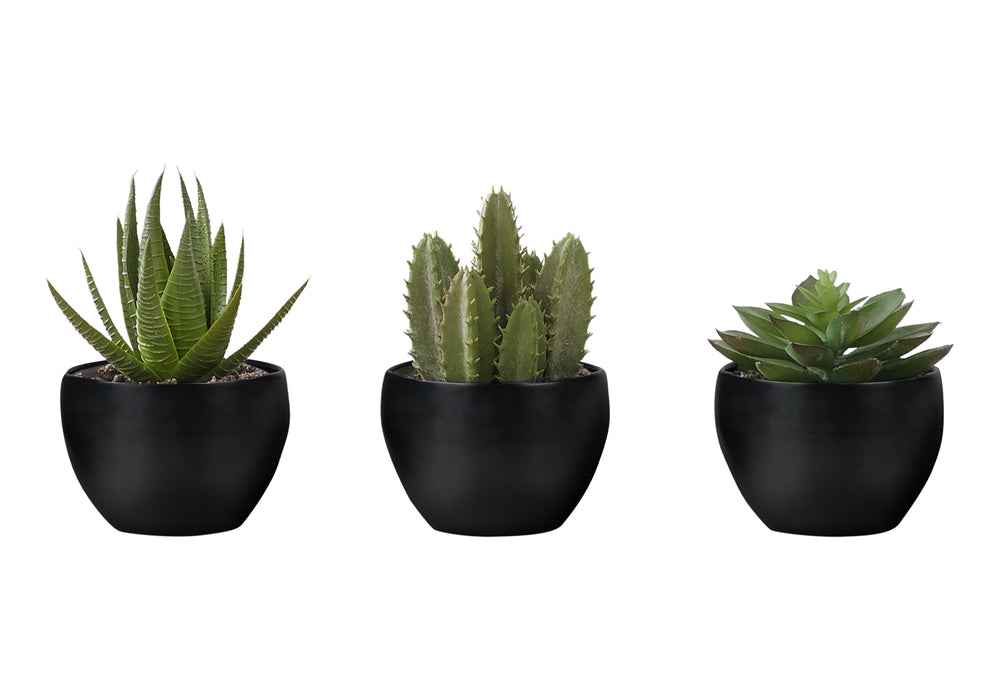 Monarch Specialties Artificial Plant, 6" Tall, Succulent, Indoor, Faux, Fake, Table, Greenery, Potted, Set Of 3, Decorative, Green Plants, Black Pots Green,Black, Black Polyethylene,Foam,Metal I 9556