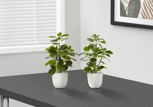 Monarch Specialties Artificial Plant, 14" Tall, Ficus, Indoor, Faux, Fake, Table, Greenery, Potted, Set Of 2, Decorative, Green Leaves, White Pots Green,White, White Polyethylene,Cement,Foam,Metal,Polypropylene I 9557
