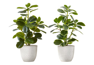 Monarch Specialties Artificial Plant, 14" Tall, Ficus, Indoor, Faux, Fake, Table, Greenery, Potted, Set Of 2, Decorative, Green Leaves, White Pots Green,White, White Polyethylene,Cement,Foam,Metal,Polypropylene I 9557