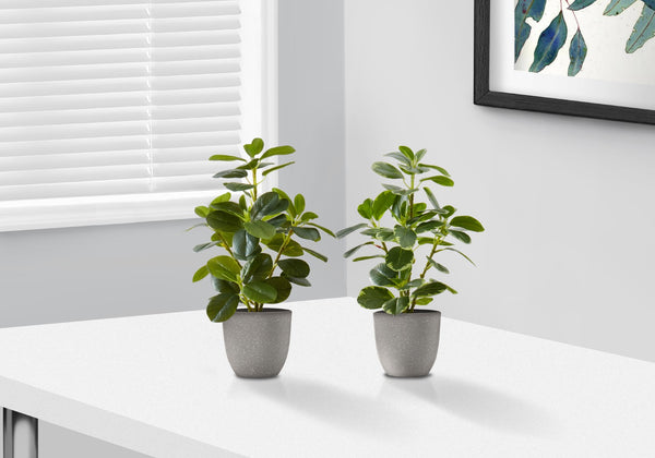 Monarch Specialties Artificial Plant, 14" Tall, Ficus, Indoor, Faux, Fake, Table, Greenery, Potted, Set Of 2, Decorative, Green Leaves, Grey Pots Green,Grey, Grey Polyethylene,Cement,Foam,Metal,Polypropylene I 9558