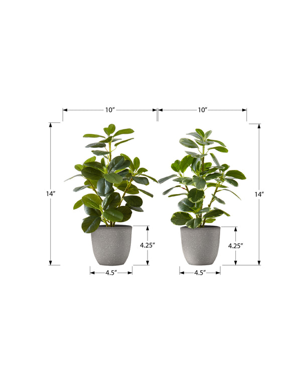 Monarch Specialties Artificial Plant, 14" Tall, Ficus, Indoor, Faux, Fake, Table, Greenery, Potted, Set Of 2, Decorative, Green Leaves, Grey Pots Green,Grey, Grey Polyethylene,Cement,Foam,Metal,Polypropylene I 9558