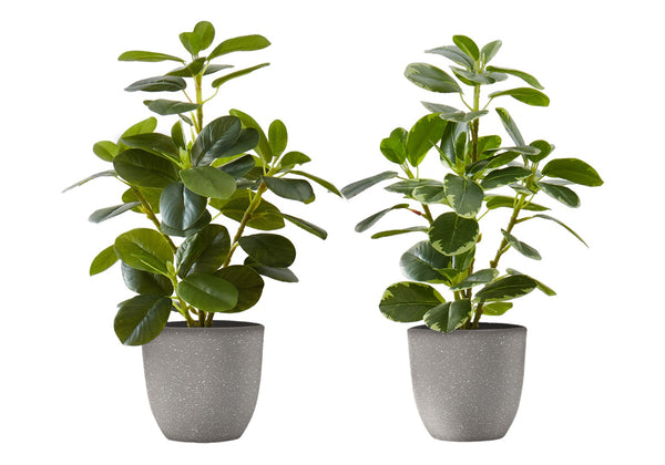 Monarch Specialties Artificial Plant, 14" Tall, Ficus, Indoor, Faux, Fake, Table, Greenery, Potted, Set Of 2, Decorative, Green Leaves, Grey Pots Green,Grey, Grey Polyethylene,Cement,Foam,Metal,Polypropylene I 9558