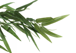 Monarch Specialties Artificial Plant, 50" Tall, Bamboo Tree, Indoor, Faux, Fake, Floor, Greenery, Potted, Decorative, Green Leaves, Black Pot Green,Black, Black Plastic,Cement,Foam,Polyester,Polypropylene I 9563