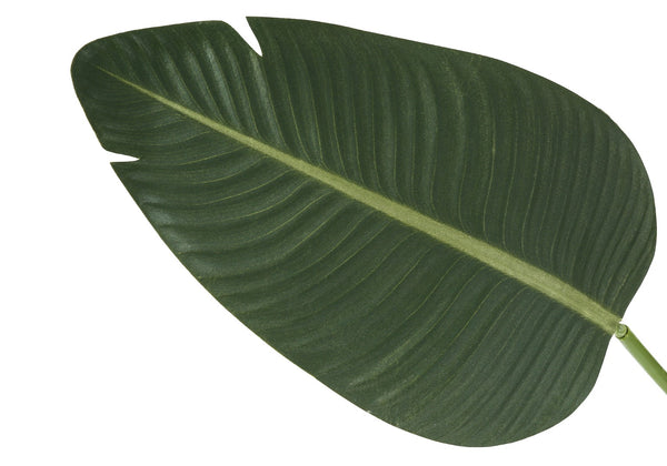 Monarch Specialties Artificial Plant, 60" Tall, Bird Of Paradise Tree, Indoor, Faux, Fake, Floor, Greenery, Potted, Decorative, Green Leaves, Black Pot Green,Black, Black Plastic,Cement,Foam,Metal,Polyester,Polypropylene I 9570