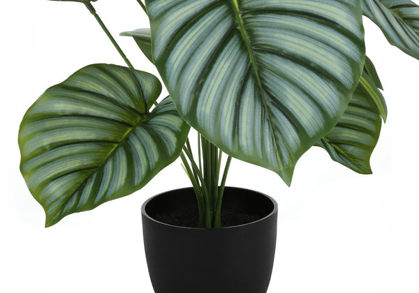 Monarch Specialties Artificial Plant, 24" Tall, Calathea, Indoor, Faux, Fake, Table, Greenery, Potted, Real Touch, Decorative, Green Leaves, Black Pot Green,Black, Black Polyethylene,Cement,Foam,Metal,Polypropylene I 9577