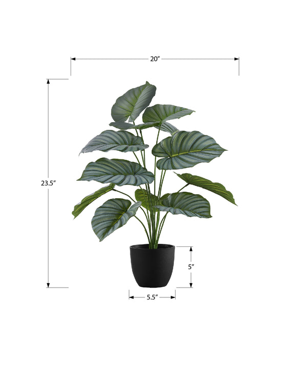 Monarch Specialties Artificial Plant, 24" Tall, Calathea, Indoor, Faux, Fake, Table, Greenery, Potted, Real Touch, Decorative, Green Leaves, Black Pot Green,Black, Black Polyethylene,Cement,Foam,Metal,Polypropylene I 9577