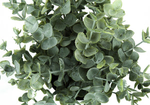 Monarch Specialties Artificial Plant, 11" Tall, Eucalyptus Grass, Indoor, Faux, Fake, Table, Greenery, Potted, Set Of 2, Decorative, Green Leaves, Black Pots Green,Black, Black Polyethylene,Cement,Foam,Metal I 9580