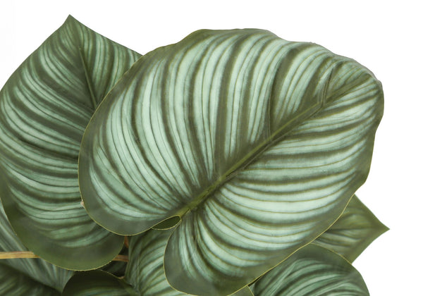 Monarch Specialties Artificial Plant, 13" Tall, Epipremnum, Indoor, Faux, Fake, Table, Greenery, Potted, Set Of 2, Decorative, Green Leaves, Black Pots Green,Black, Black Polyethylene,Cement,Foam,Metal,Polypropylene I 9583