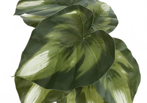 Monarch Specialties Artificial Plant, 13" Tall, Monstera Calthea, Indoor, Faux, Fake, Table, Greenery, Potted, Set Of 2, Decorative, Green Leaves, Black Pots Green,Black, Black Polyethylene,Cement,Foam,Metal,Polypropylene I 9584