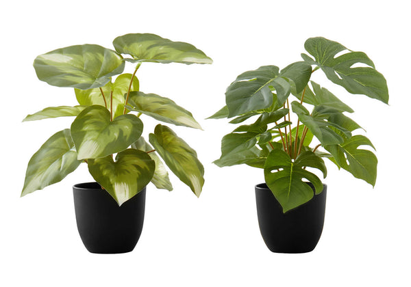 Monarch Specialties Artificial Plant, 13" Tall, Monstera Calthea, Indoor, Faux, Fake, Table, Greenery, Potted, Set Of 2, Decorative, Green Leaves, Black Pots Green,Black, Black Polyethylene,Cement,Foam,Metal,Polypropylene I 9584