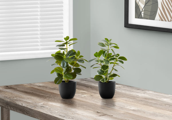 Monarch Specialties Artificial Plant, 14" Tall, Ficus, Indoor, Faux, Fake, Table, Greenery, Potted, Set Of 2, Decorative, Green Leaves, Black Pots Green,Black, Black Polyethylene,Cement,Foam,Metal,Polypropylene I 9585