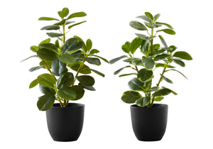 Monarch Specialties Artificial Plant, 14" Tall, Ficus, Indoor, Faux, Fake, Table, Greenery, Potted, Set Of 2, Decorative, Green Leaves, Black Pots Green,Black, Black Polyethylene,Cement,Foam,Metal,Polypropylene I 9585
