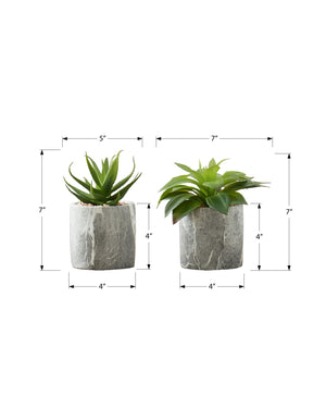 Monarch Specialties Artificial Plant, 6" Tall, Succulent, Indoor, Faux, Fake, Table, Greenery, Potted, Set Of 2, Decorative, Green Leaves, Grey Cement Pots Green,Grey, Grey Polyethylene,Cement,Foam I 9586