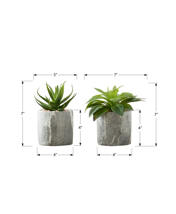 Monarch Specialties Artificial Plant, 6" Tall, Succulent, Indoor, Faux, Fake, Table, Greenery, Potted, Set Of 2, Decorative, Green Leaves, Grey Cement Pots Green,Grey, Grey Polyethylene,Cement,Foam I 9586