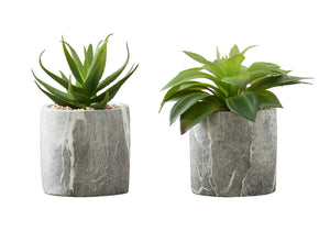 Monarch Specialties Artificial Plant, 6" Tall, Succulent, Indoor, Faux, Fake, Table, Greenery, Potted, Set Of 2, Decorative, Green Leaves, Grey Cement Pots Green,Grey, Grey Polyethylene,Cement,Foam I 9586
