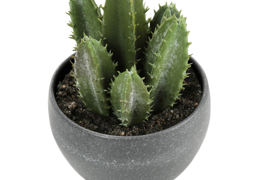 Monarch Specialties Artificial Plant, 6" Tall, Succulent, Indoor, Faux, Fake, Table, Greenery, Potted, Set Of 3, Decorative, Green Plants, Grey Cement Pots Green,Grey, Grey Polyethylene,Foam,Metal I 9587