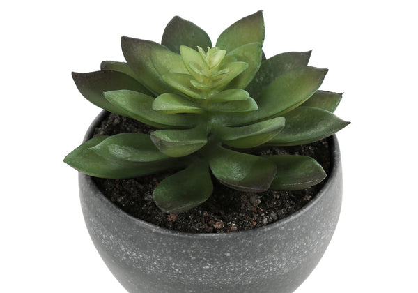 Monarch Specialties Artificial Plant, 6" Tall, Succulent, Indoor, Faux, Fake, Table, Greenery, Potted, Set Of 3, Decorative, Green Plants, Grey Cement Pots Green,Grey, Grey Polyethylene,Foam,Metal I 9587