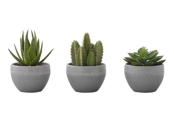 Monarch Specialties Artificial Plant, 6" Tall, Succulent, Indoor, Faux, Fake, Table, Greenery, Potted, Set Of 3, Decorative, Green Plants, Grey Cement Pots Green,Grey, Grey Polyethylene,Foam,Metal I 9587
