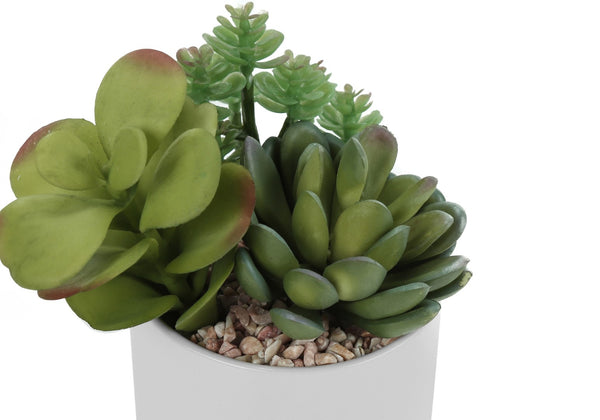 Monarch Specialties Artificial Plant, 7" Tall, Succulent, Indoor, Faux, Fake, Table, Greenery, Potted, Set Of 2, Decorative, Green Plants, White Ceramic Pots Green,White, White Polyethylene,Ceramic,Foam,Metal I 9588