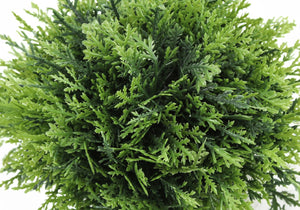 Monarch Specialties Artificial Plant, 5" Tall, Grass, Indoor, Faux, Fake, Table, Greenery, Potted, Set Of 3, Decorative, Green Plants, Grey Pots Green,Taupe, Taupe Polyethylene,Foam,Metal I 9589