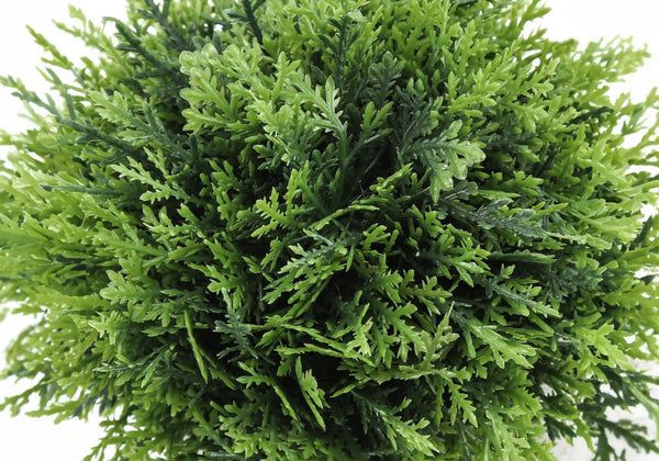 Monarch Specialties Artificial Plant, 5" Tall, Grass, Indoor, Faux, Fake, Table, Greenery, Potted, Set Of 3, Decorative, Green Plants, Grey Pots Green,Taupe, Taupe Polyethylene,Foam,Metal I 9589