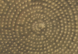 Monarch Specialties Accent Table - Handcrafted Scalloped Drum Design for Elegant Living Room or Bedroom Decor, Iron Metal GOLD 20 L x 20 W x 22 H I 3900